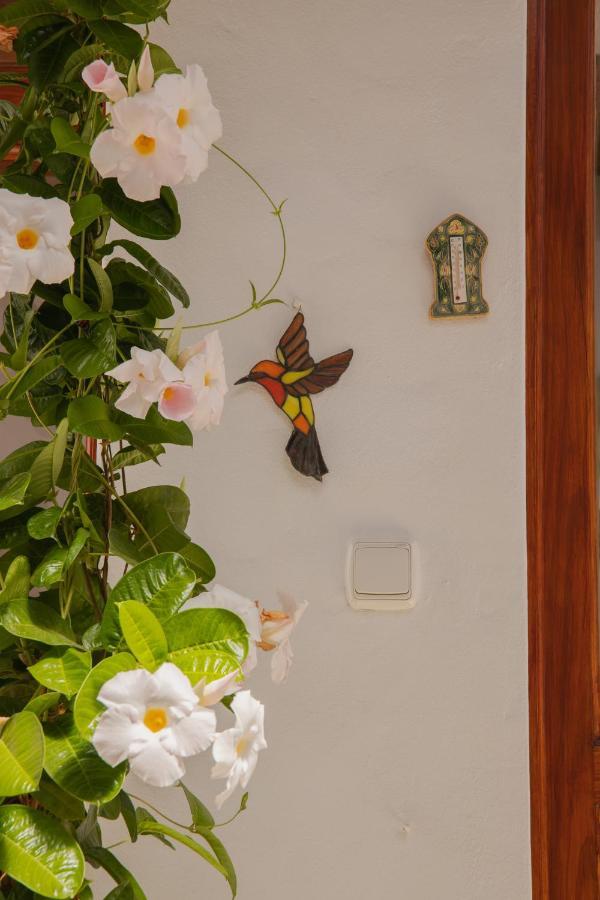 Villa Casa Carmen à Haría Extérieur photo